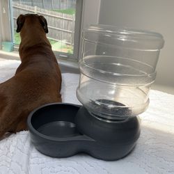 Aspen Pet Water Station 2.5 Gallon