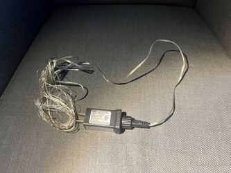 Warm White Micro LED Lights cb2