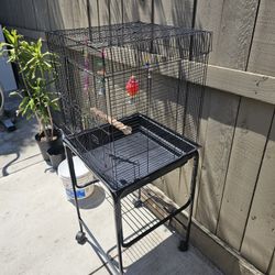 Birdcage