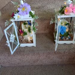 Fairy Lanterns