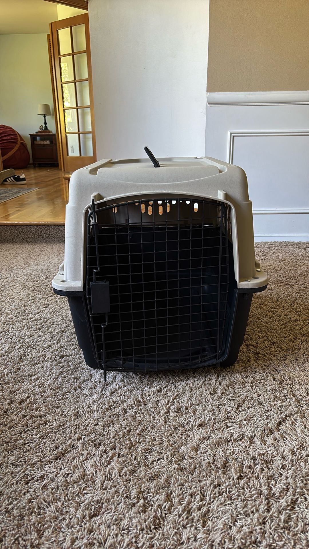 Plastic Dog kennel