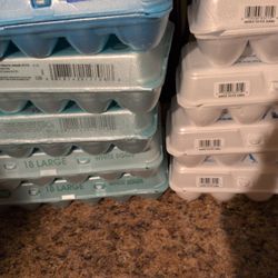 Egg Cartons 