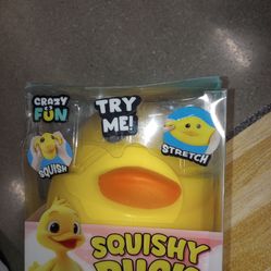 Squishy ducks