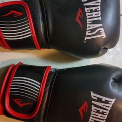 Everlast Boxing Gloves 