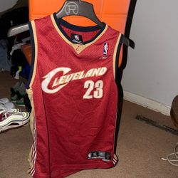 Official Reebok LeBron James Cavalier Jersey 