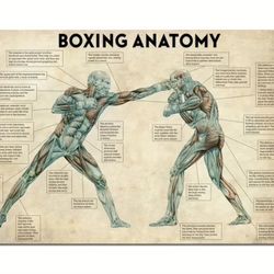 Boxing Training Canvas Poster