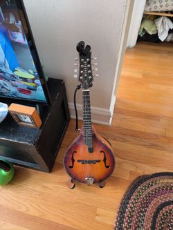 Mint Mcneela Mandolin