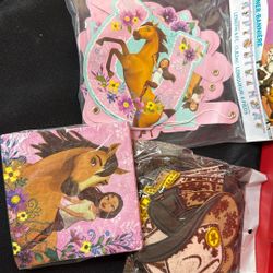 Party Supplies 