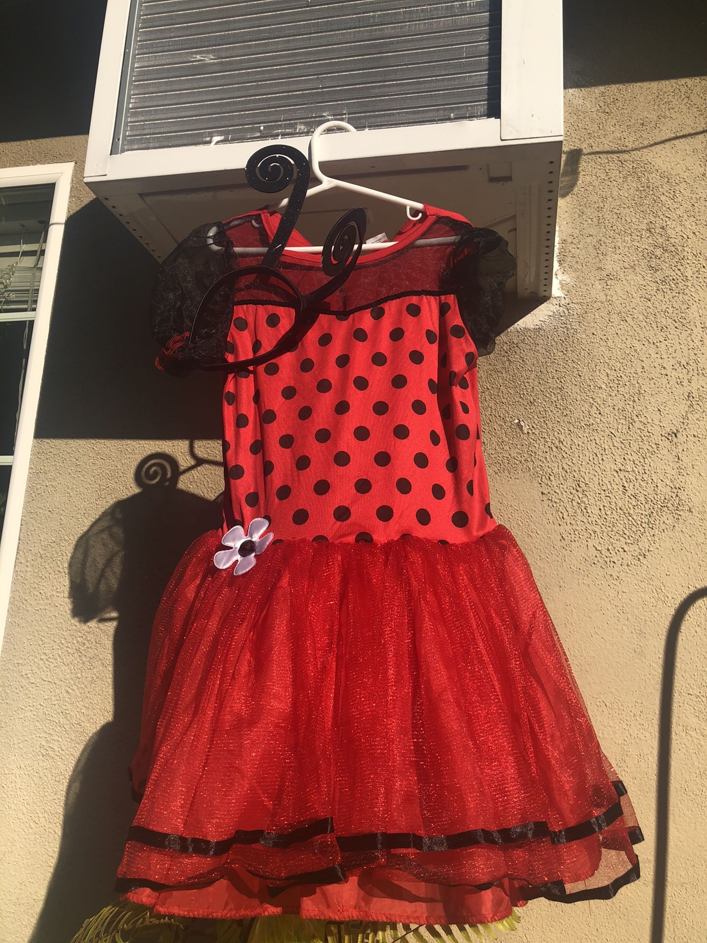 Kids ladybug 🐞 10-12 L