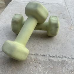 6 Lbs Dumbbells x2