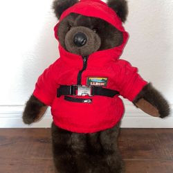 Bear Plushy