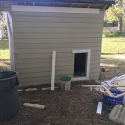 Dog House Or Shed 