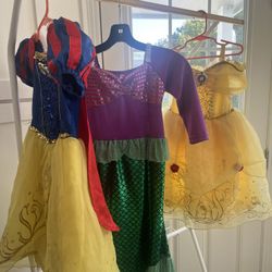 Princess Dress/costume