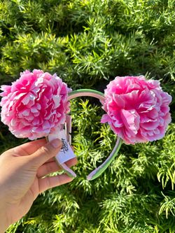 Disney ears