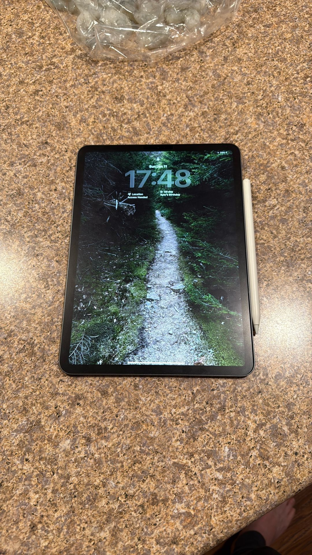 iPad Pro (11-inch) (2nd Generation), 256GB, Wi-Fi; with Apple Pencil