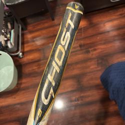 Ghost Easton Bat