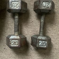 2 - 20 Pound Dumbells 