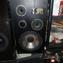 Pair of liquid cooled house speakers