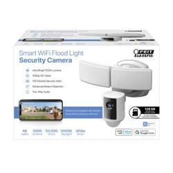 Smart Wifi Flood Light Security Camera