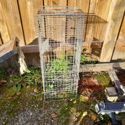 Critter Trap