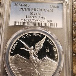 Libertad 