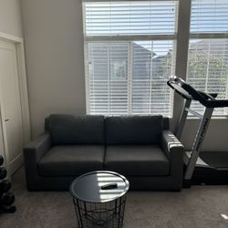 Couch With A Pull Out Queen Bed 