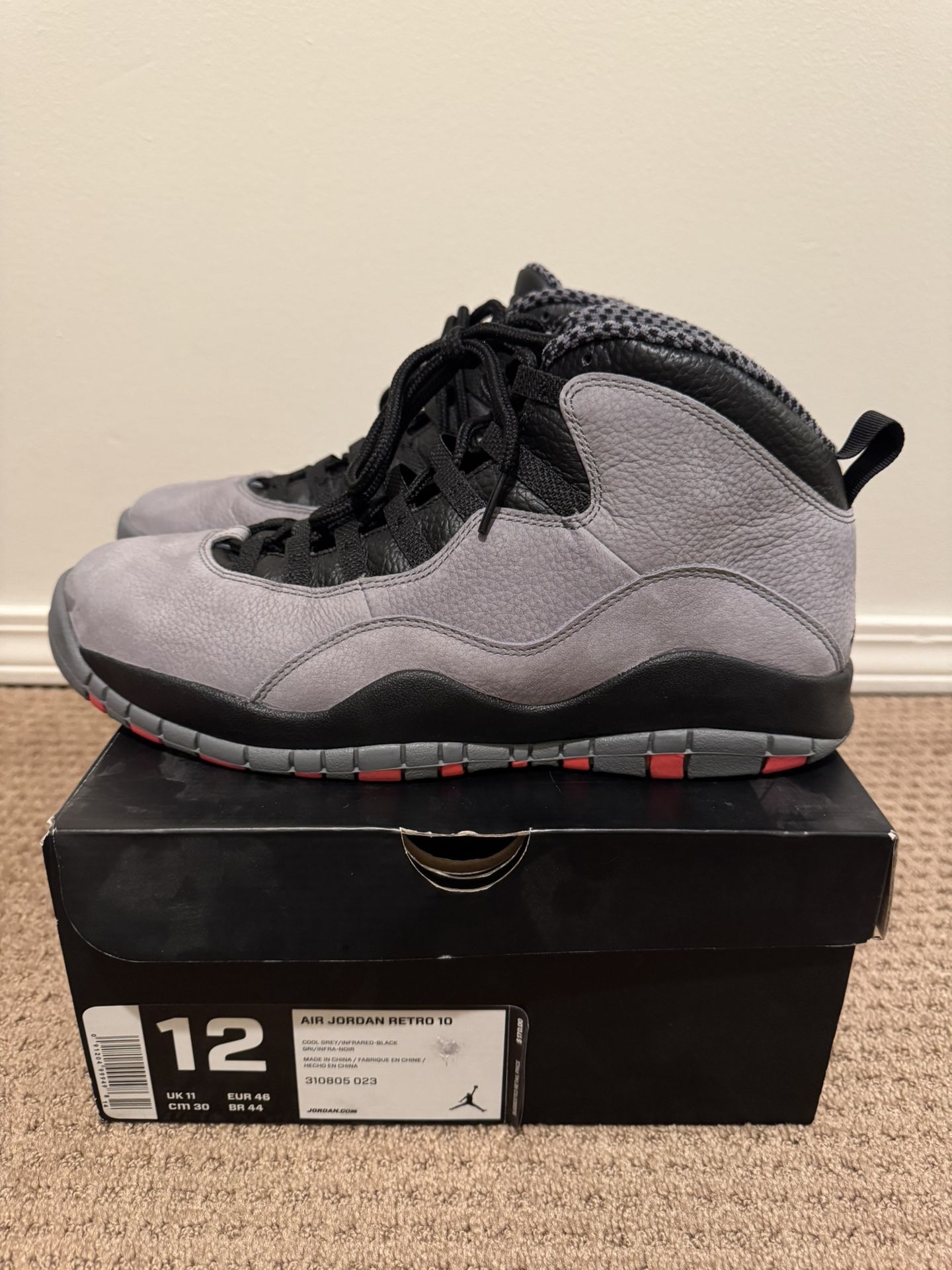 Air Jordan Retro 10 (size 12)
