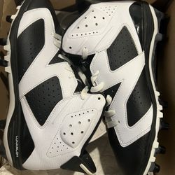 Jordan 6 Retro Td
