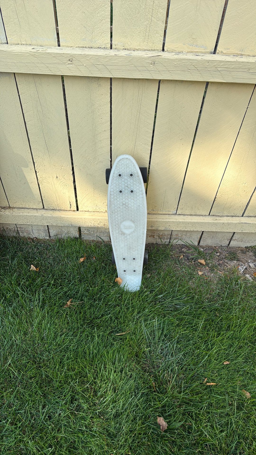 Skate Board