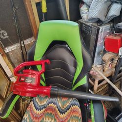 Electric Blowers