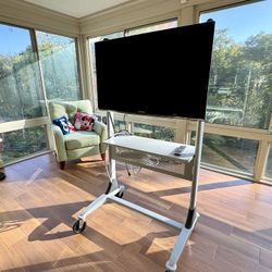 Stand with Wheels and Samsung Flat TV 