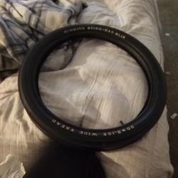 Schwinnstring Ray Slik 1963