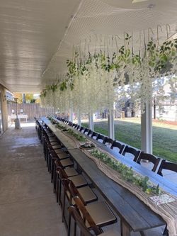 Wisteria Flowers