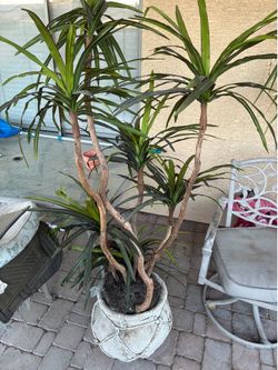 Artificial plant