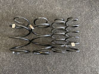 Civic Springs 