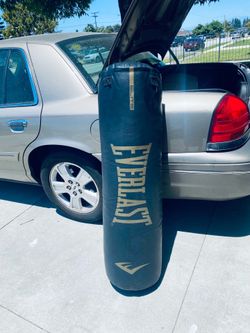 punching bag, see description