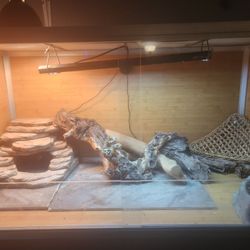Reptile Enclosure Zen Habitats