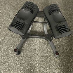 Bowflex Rack For Adjustable Weights- RACK/Carrier/Holder Only