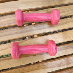 1Lb Weights 