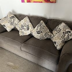 Couch/Sleeper/loveseat