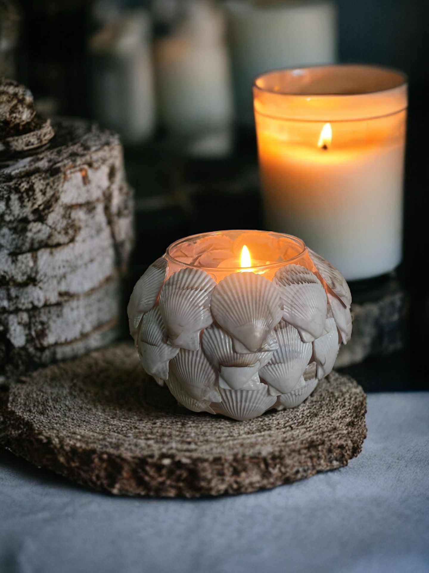 ✨ SEA SHELL CANDLE HOLDER ✨