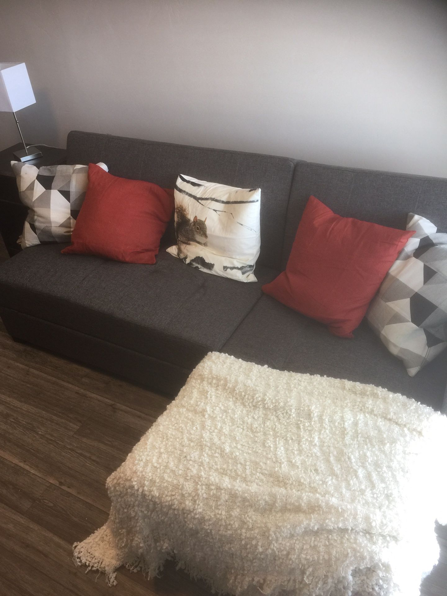 Brand New Sofa Sleeper with Chaise and Storage!