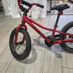 Riprock Coaster 16 Kids Bike