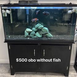 60 Gallon Tank And Stand 