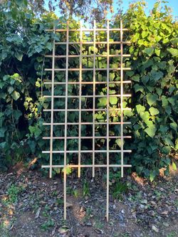 Garden trellis 38”x68” new
