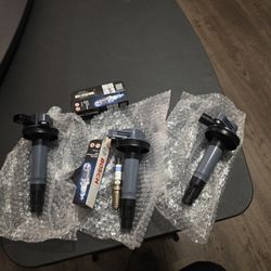 2015–2017 Ford F-150 3.5 V6 Ignition Coils + Bosch Iridium Spark Plugs (3 each)