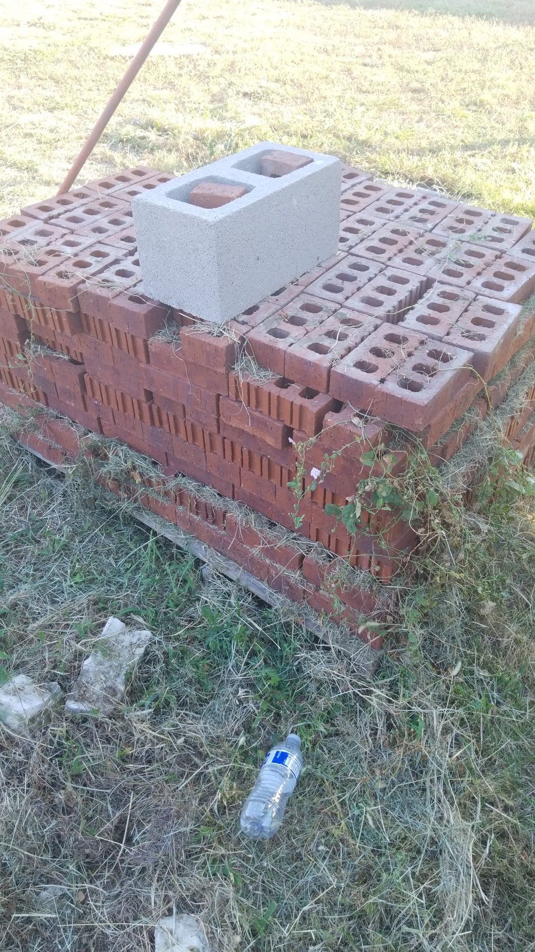 Free bricks 500 pcs need gone