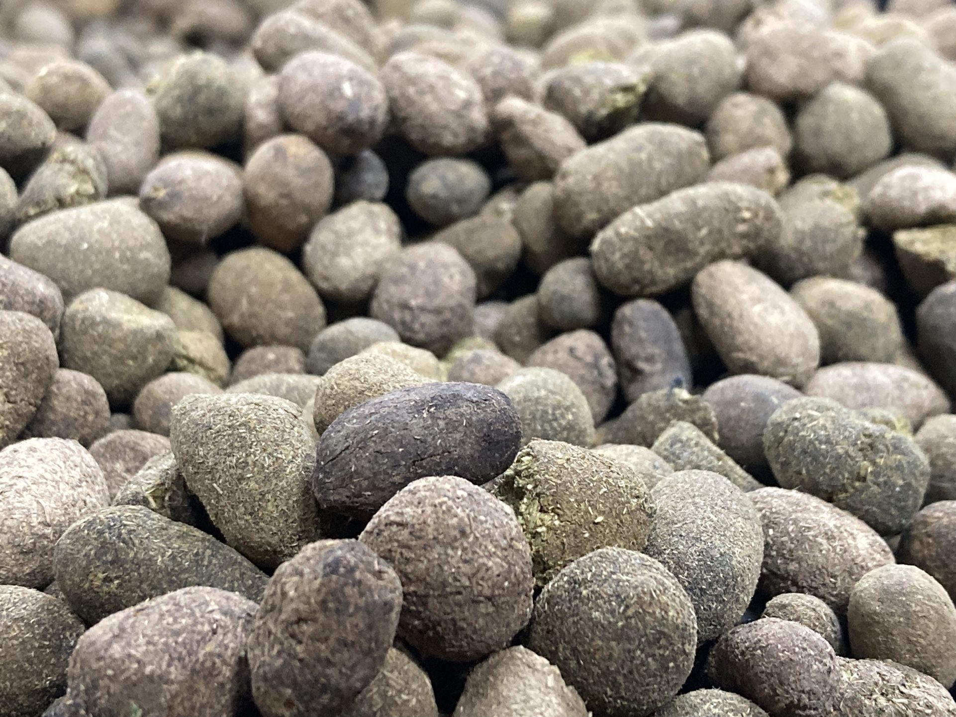 Premium Goat Manure 
