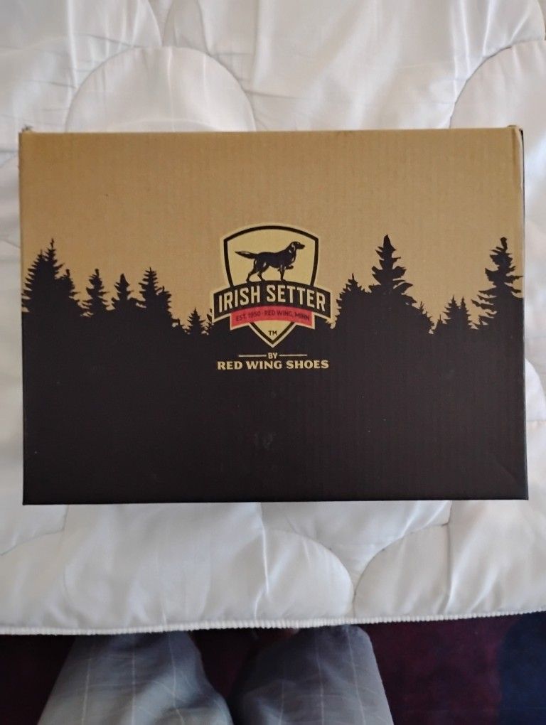 Irish Setter Steel Toe Boots From Red Wing