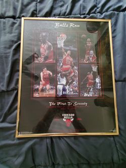Bulls Run Poster